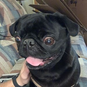 Meet your Posher, Nathan